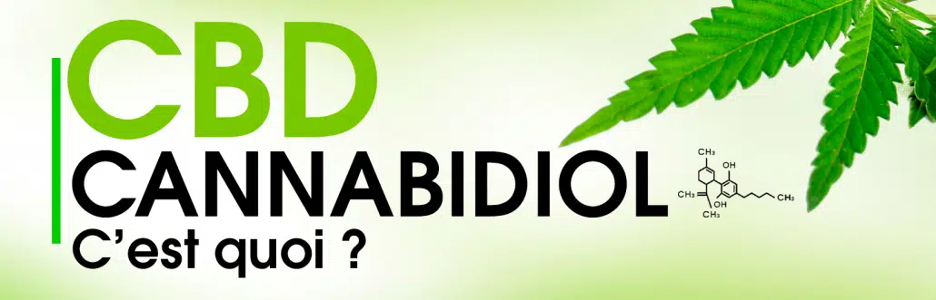 C'est quoi le Cannabidiol ou CBD ? Cannabidiol (cbd) : c'est quoi ?