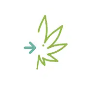 CBD définition therapeutique