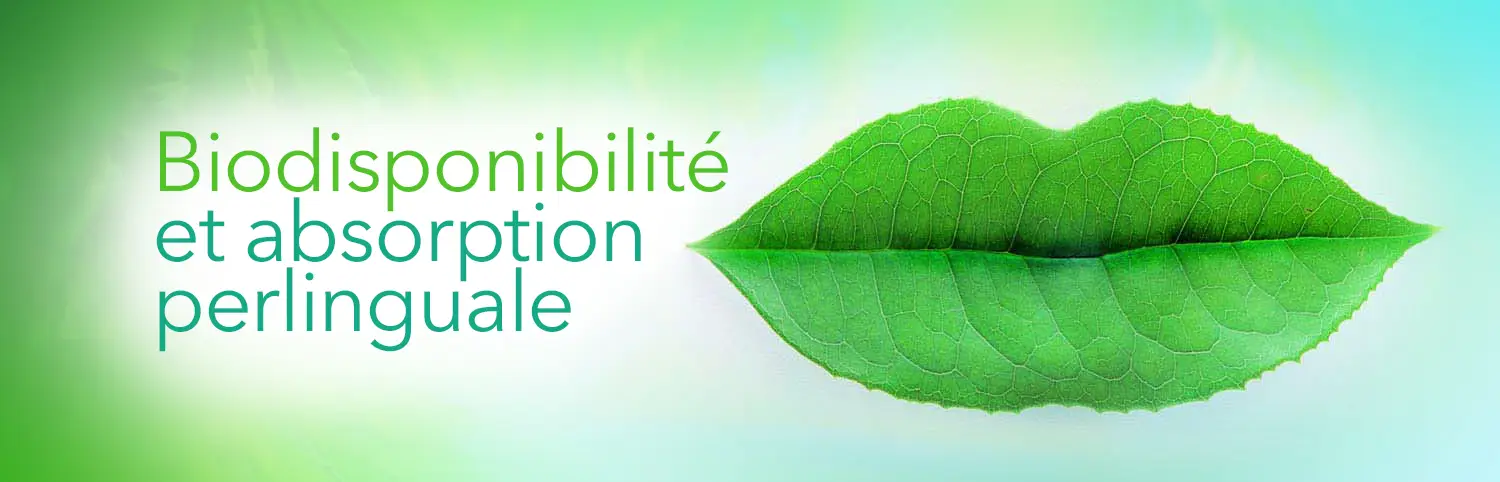 Biodisponibilité du CBD en absorption perlinguale Biodisponibilite CBD absorption perlinguale